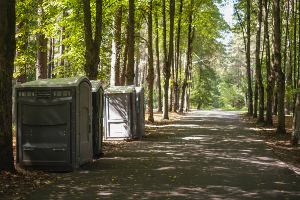 Best Leaf Removal  in St Charles, MN